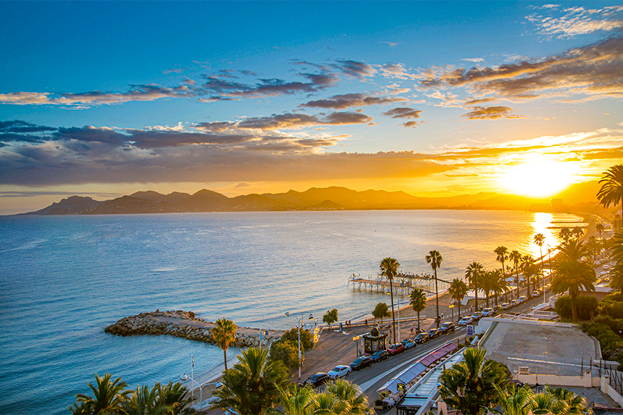Sunset over the sea with palm trees and a coastal promenade | MSC Cruises