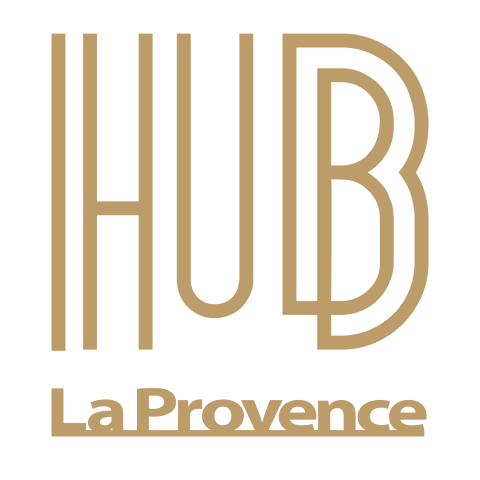 hub logo 480x480