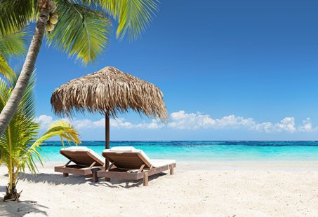 Spring Cruises Caribbean| MSC Cruises Spring Cruises Caribbean| MSC Cruises