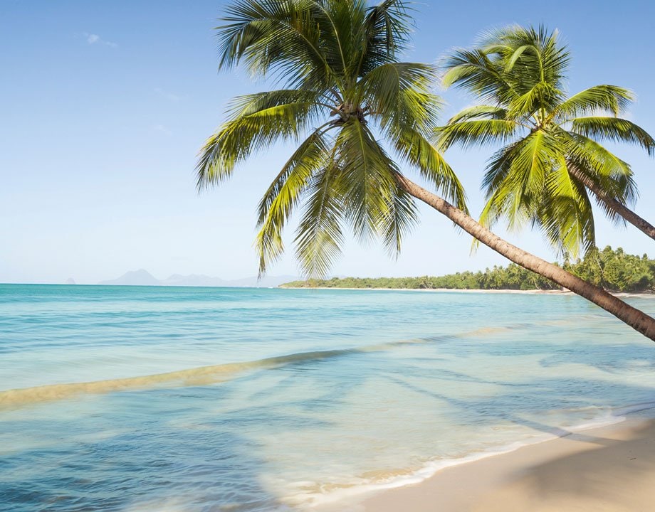 Offres, Croisières de Fort-de-France | MSC Croisières Offres, Croisières de Fort-de-France | MSC Croisières