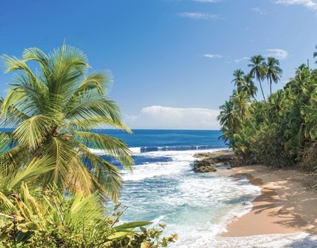 MSC Grands Voyages | MSC Croisières MSC Grands Voyages | MSC Croisières