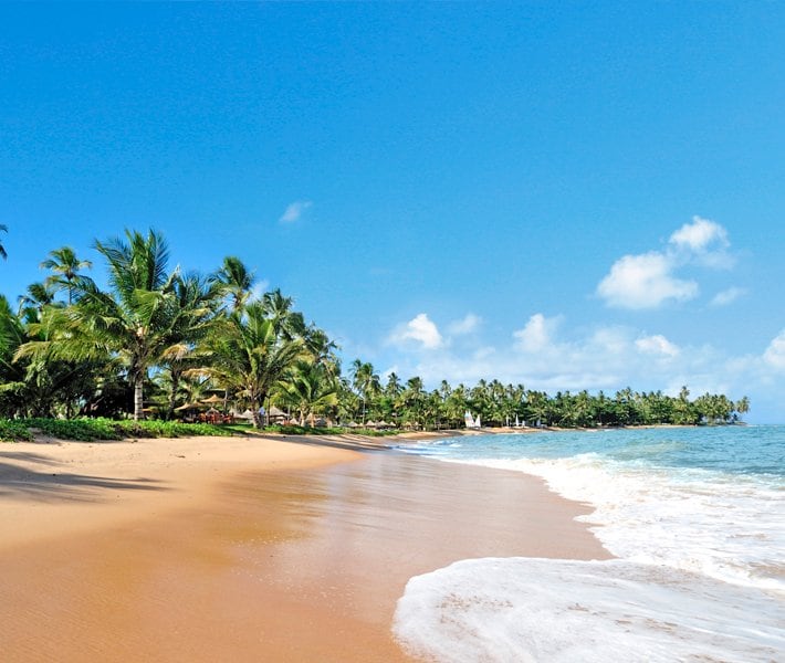 Croisières MSC Grand Voyages | MSC Croisières Croisières MSC Grand Voyages | MSC Croisières