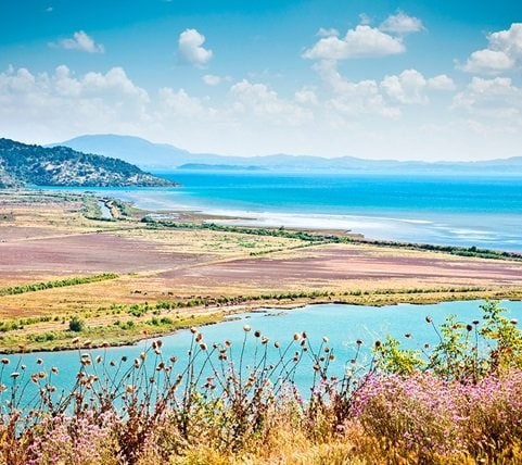 fyc_gv_14_mobile Mobile Image