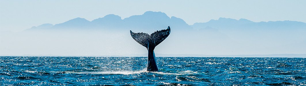 itineraryImageDesktop