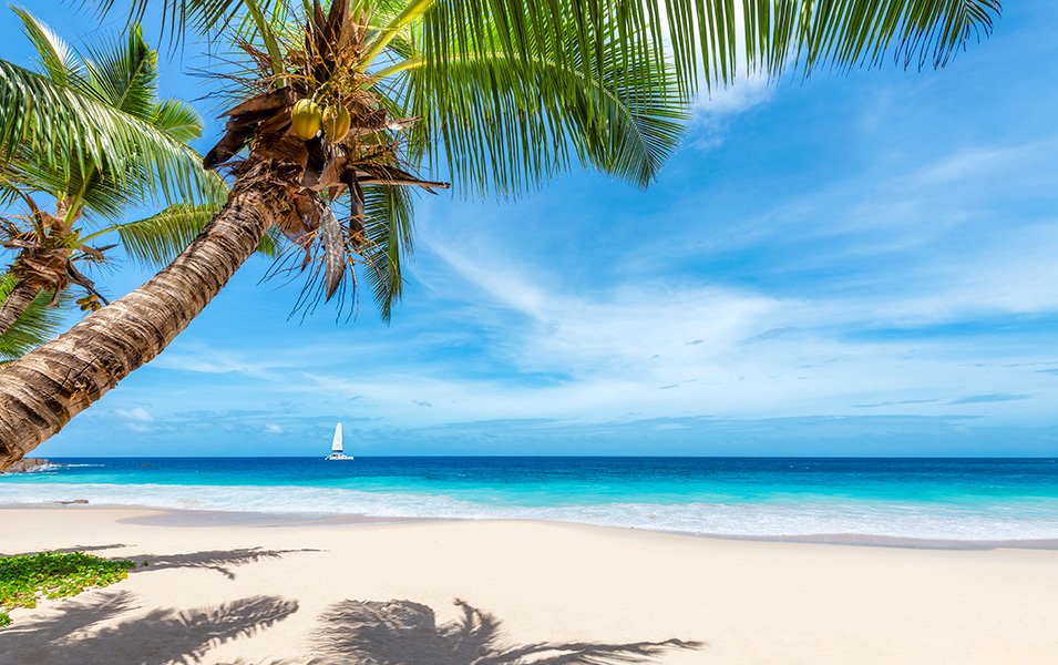 Caribbean, Summer cruises | MSC Cruises