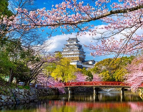 Asia cruises | MSC Cruises Asia cruises | MSC Cruises