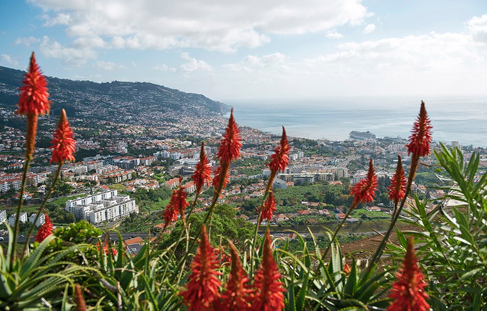 Madeira Cruises, Funchal | MSC Cruises Madeira Cruises, Funchal | MSC Cruises