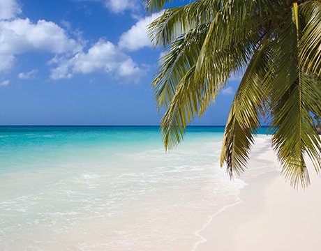 Caribbean cruises | MSC Cruises