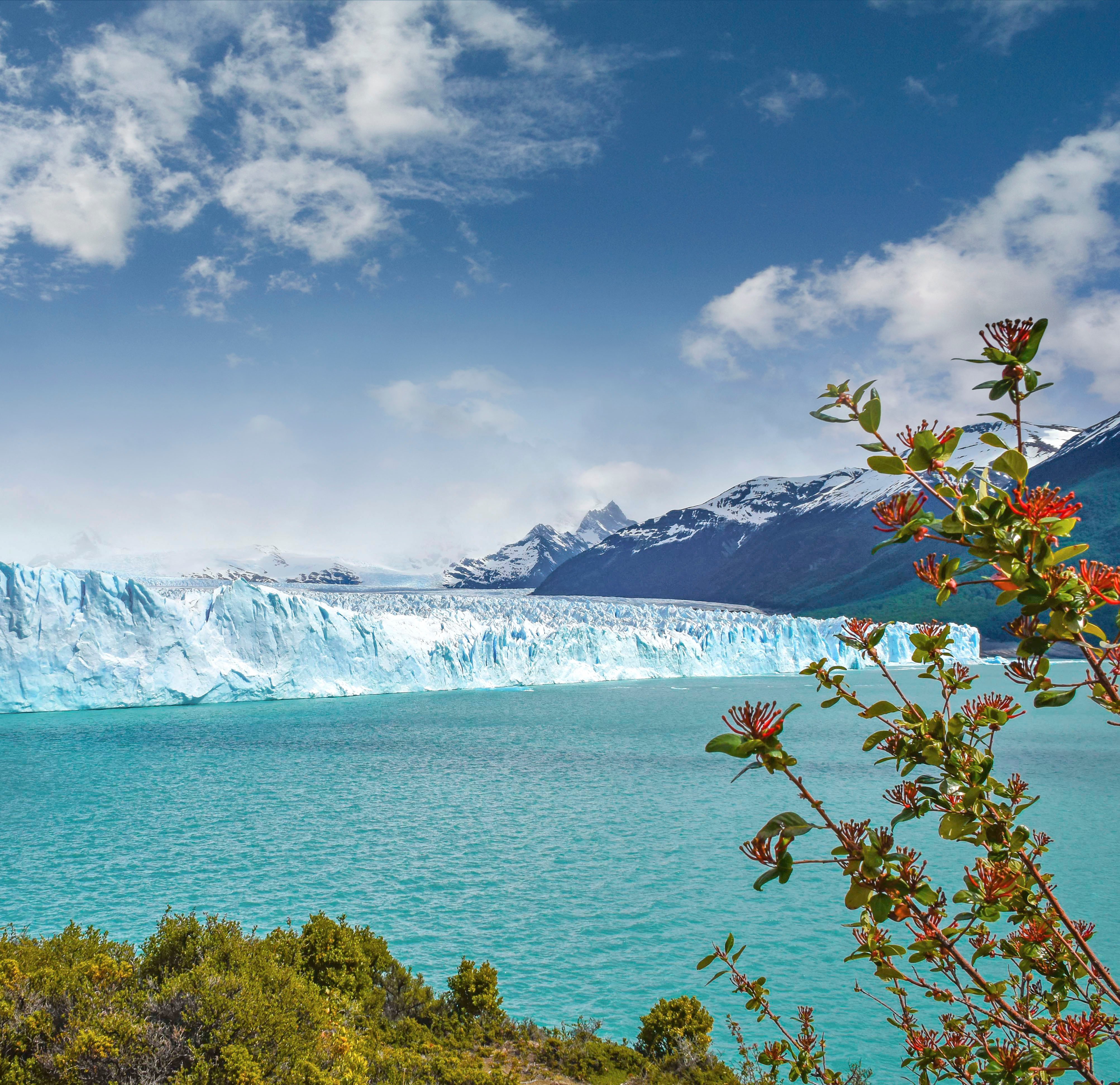 MSC World Cruise 2027| MSC Cruises