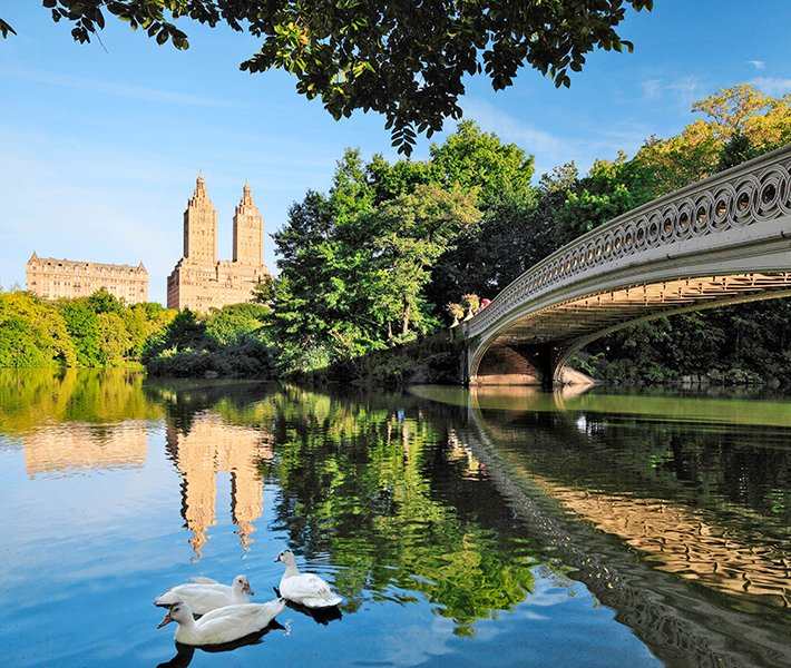 New York tours, Central Park | MSC Cruises New York tours, Central Park | MSC Cruises