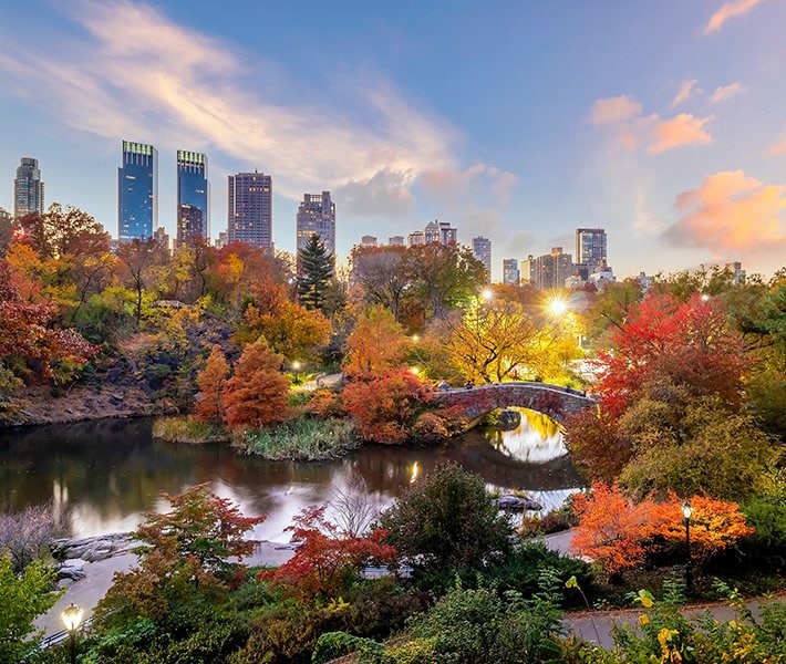 New York tours, Central Park | MSC Cruises New York tours, Central Park | MSC Cruises