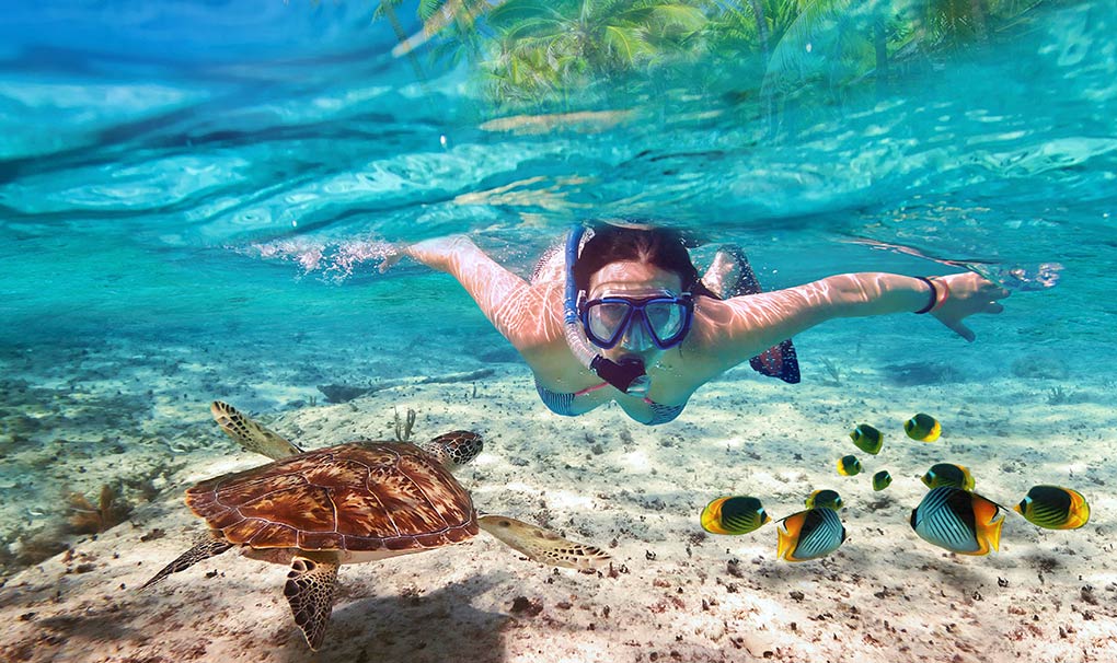 Excursion Explorer Package Caribbean | MSC Cruises Excursion Explorer Package Caribbean | MSC Cruises