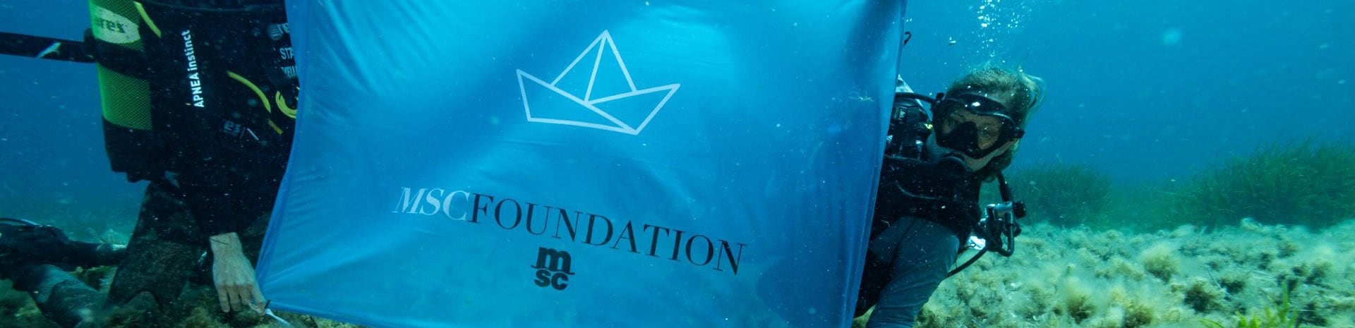 Discover MSC Foundation's latest updates Discover MSC Foundation's latest updates