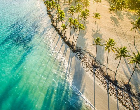 Cruises in the Caribbean and Antilles, Dominican Republic | MSC Cruises