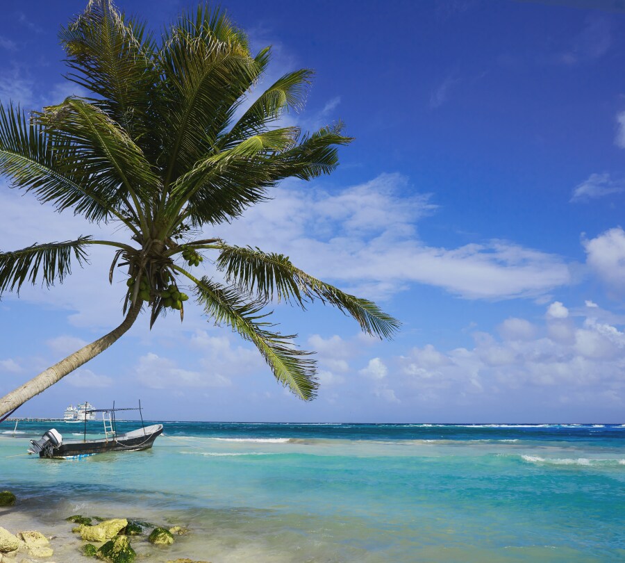 boat on sea shore | MSC Cruises